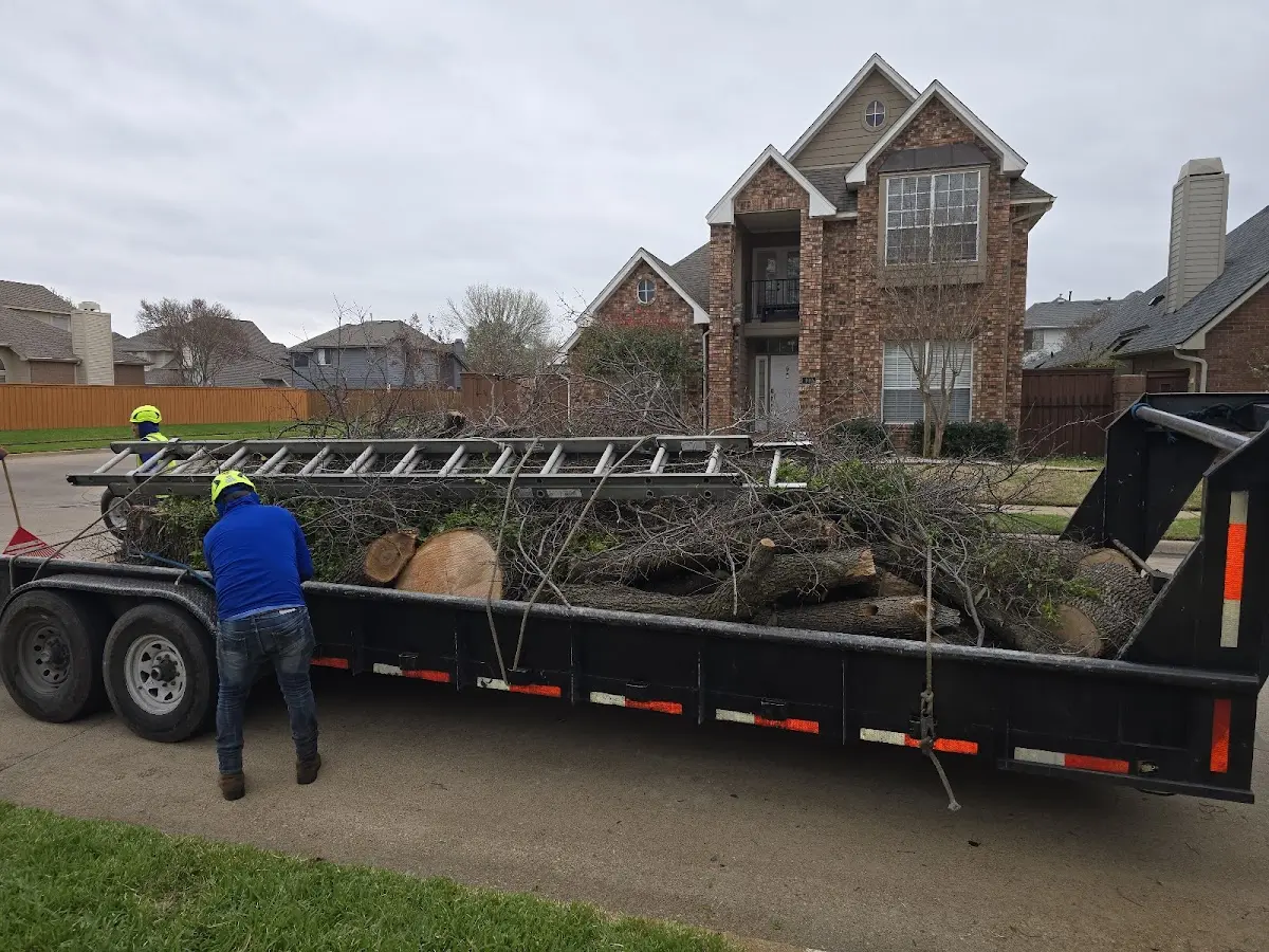 Expert Tree Fertilization with proper safety equipment in Homeland
